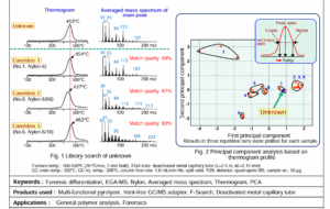 Differentiation of polyamides using EGA-MS